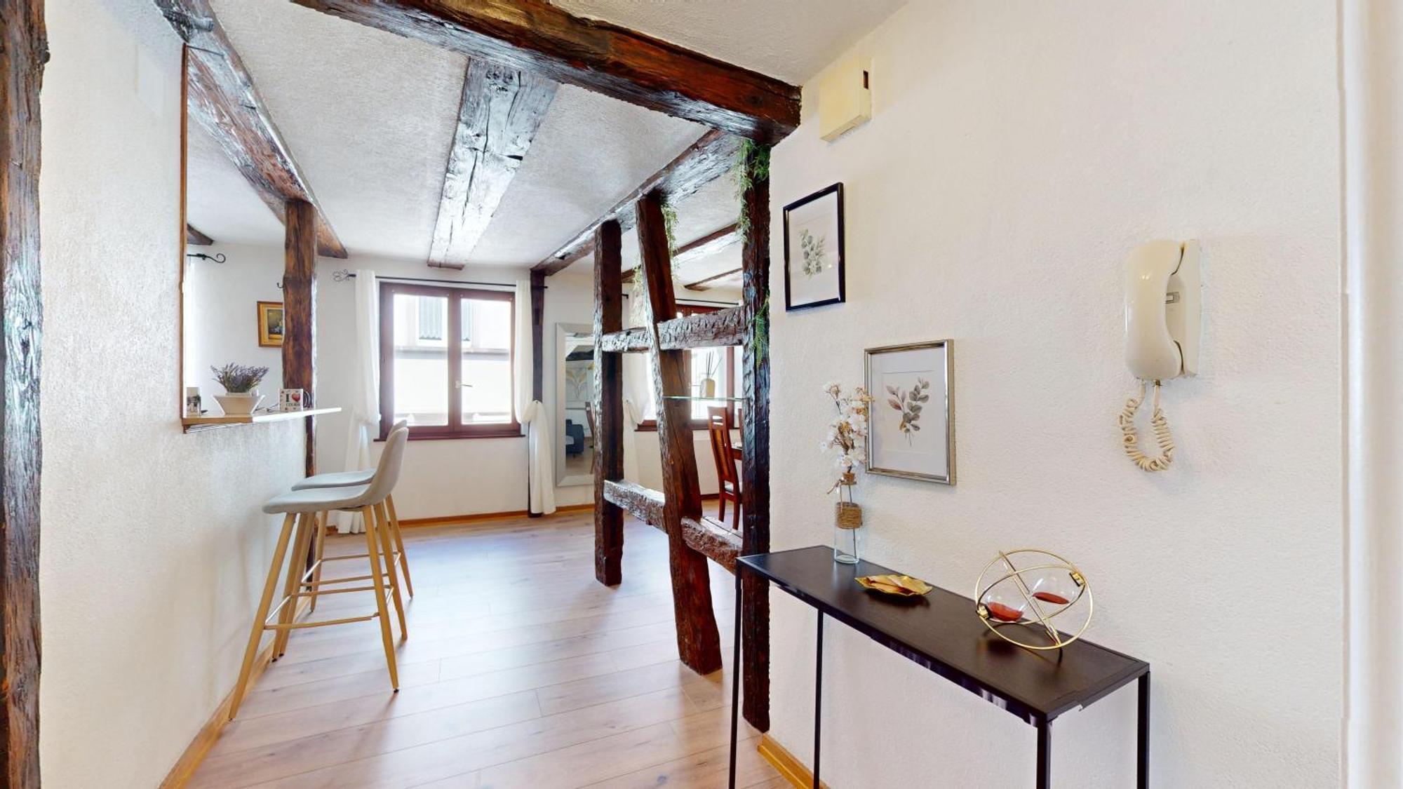 Au Petit Vauban 2 Chambres & Parking Colmar Exterior photo